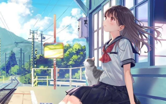 School Chaos Strategy